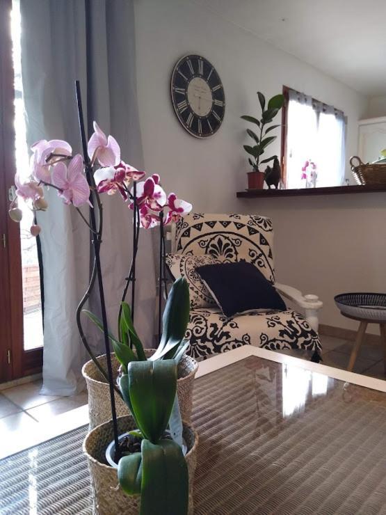 Gite Avec Vue Imprenable Sur La Cite Villa Carcassonne Dış mekan fotoğraf