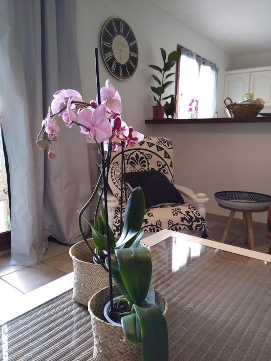 Gite Avec Vue Imprenable Sur La Cite Villa Carcassonne Dış mekan fotoğraf