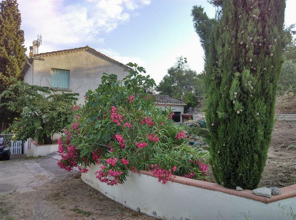 Gite Avec Vue Imprenable Sur La Cite Villa Carcassonne Dış mekan fotoğraf